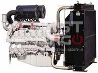 ТО-1 (ТО-500) ДГУ Onis Visa DS 455 GO (годовое)