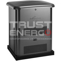Газовый генератор Briggs & Stratton G60 В кожухе Briggs&Stratton Vanguard I/C 500 cc trustenergo.ru